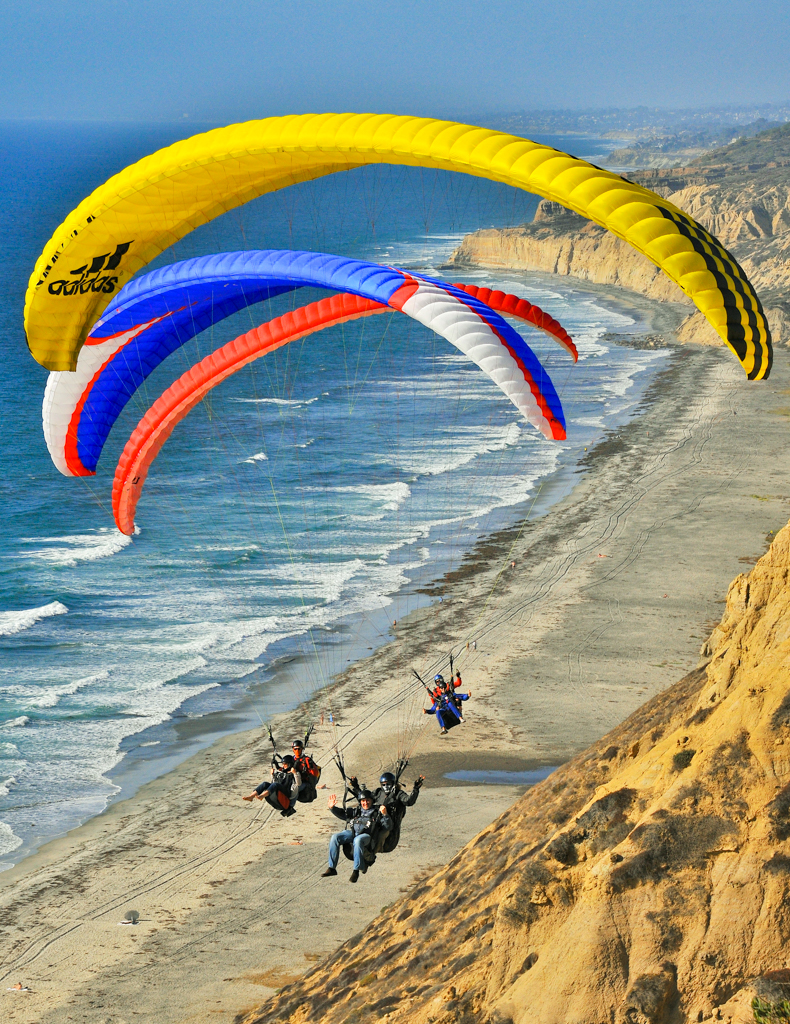 Fly Torry Pines
